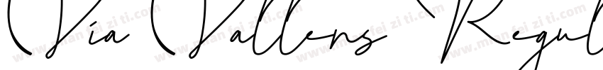 Via Vallens Regular字体转换